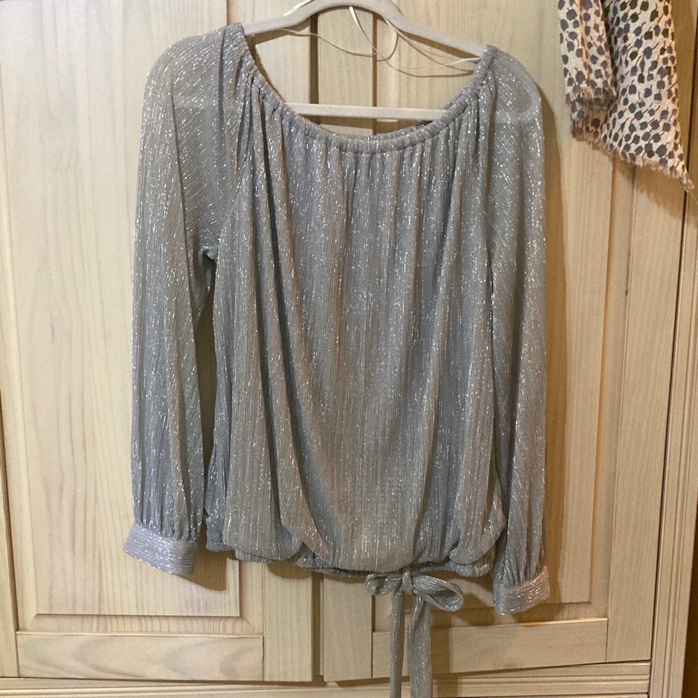 Elegant Silver Women's Top